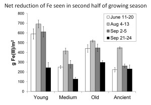 FeReductionFig